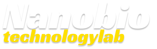 nanobiotechnologylab.in